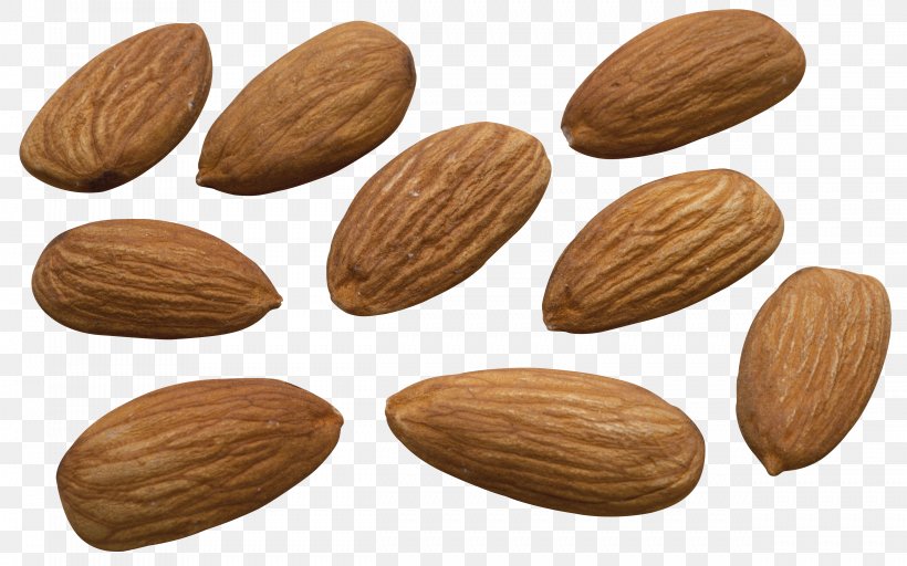Nut Almond Biscuit Apricot Kernel Food, PNG, 4961x3099px, Nut, Almond, Almond Biscuit, Apricot, Apricot Kernel Download Free