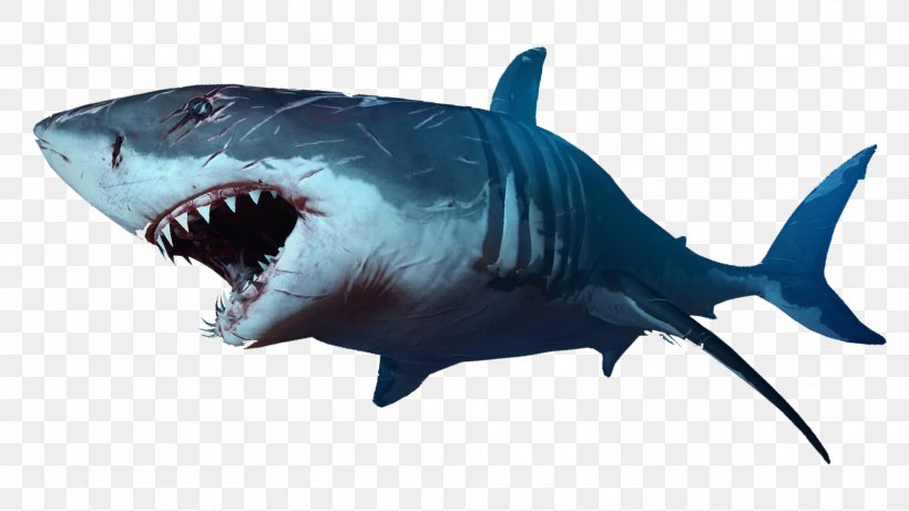 Shark Jaws Clip Art, PNG, 1920x1080px, Shark Jaws, Carcharhiniformes, Cartilaginous Fish, Document, Electric Blue Download Free