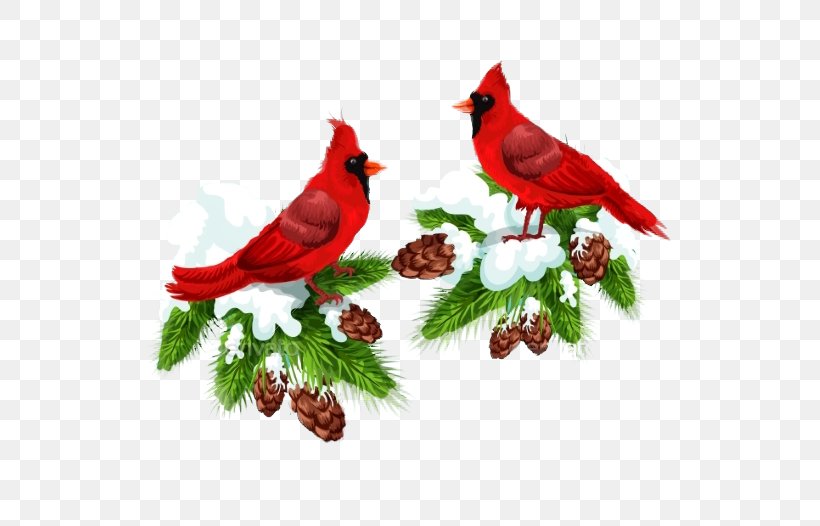 Bird Northern Cardinal Christmas Card Clip Art, PNG, 526x526px, Bird, Art, Beak, Branch, Cardinal Download Free