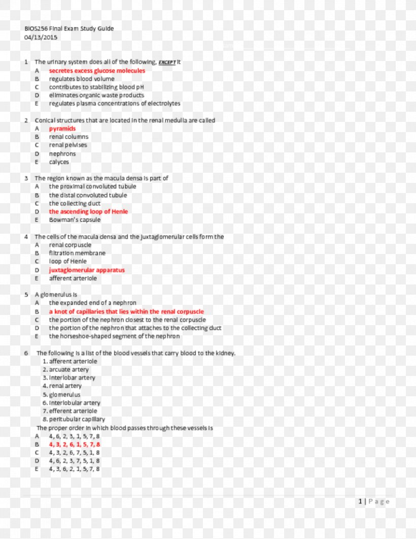 Document Brand Line, PNG, 850x1100px, Document, Area, Brand, Diagram, Media Download Free
