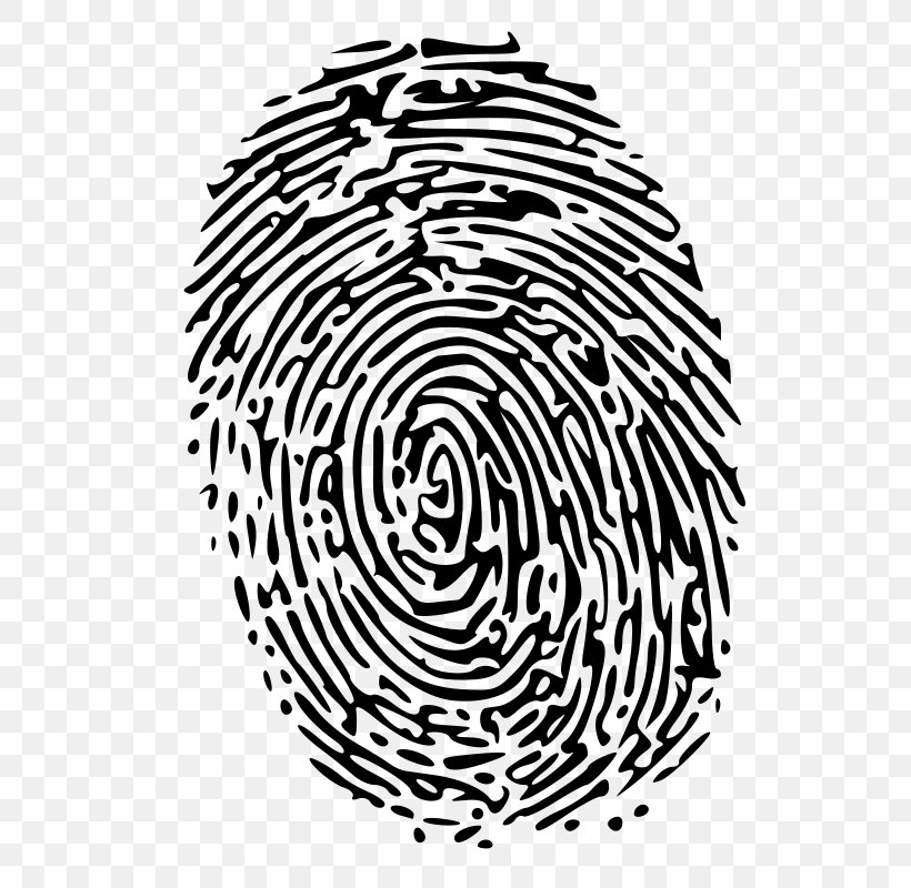 Fingerprint Forensic Science Clip Art, PNG, 800x800px, Fingerprint, Area, Black, Black And White, Document Download Free