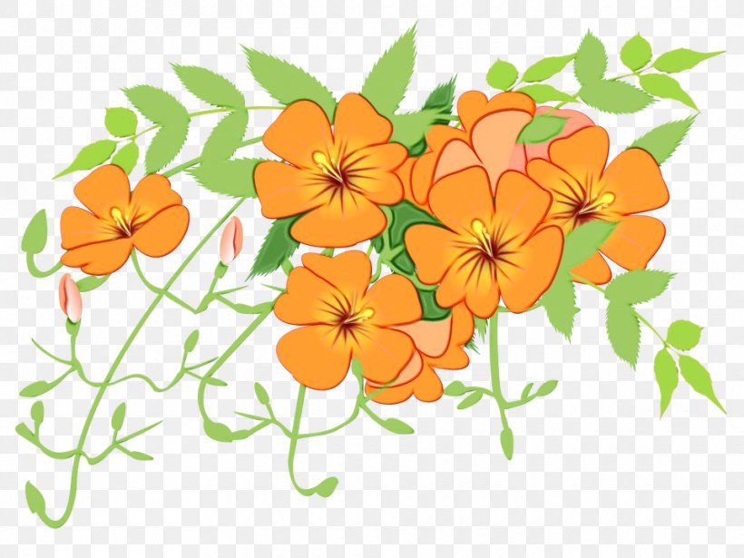 Flower Plant Clip Art Tagetes Flowering Plant, PNG, 960x720px, Watercolor, Flower, Flowering Plant, Nasturtium, Paint Download Free