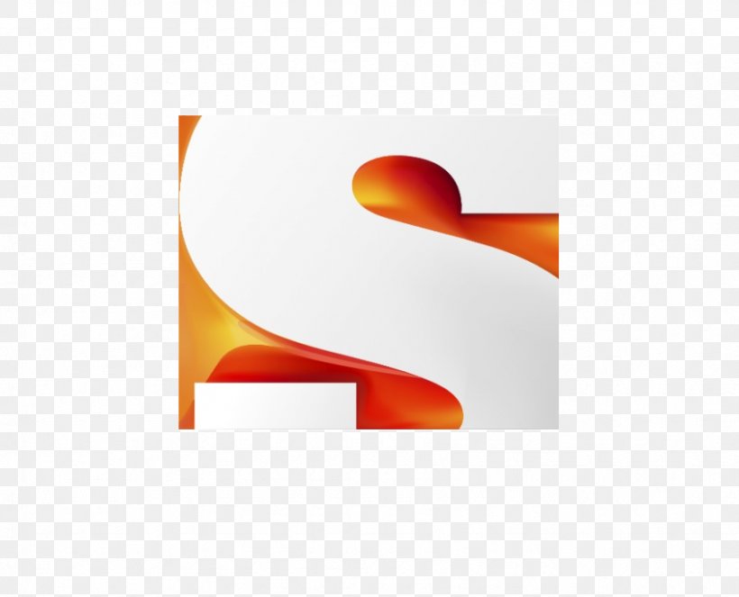 Television Channel H2 Pay Television Sony Entertainment Television, PNG, 845x684px, Television, History, Orange, Pay Television, Petal Download Free