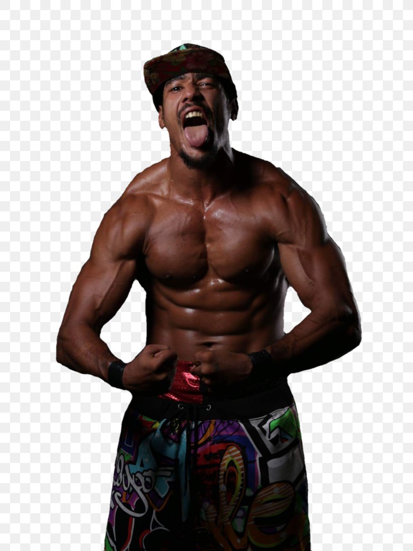 AR Fox Lucha Underground Professional Wrestling Professional Wrestler Impact Wrestling, PNG, 730x1095px, Watercolor, Cartoon, Flower, Frame, Heart Download Free