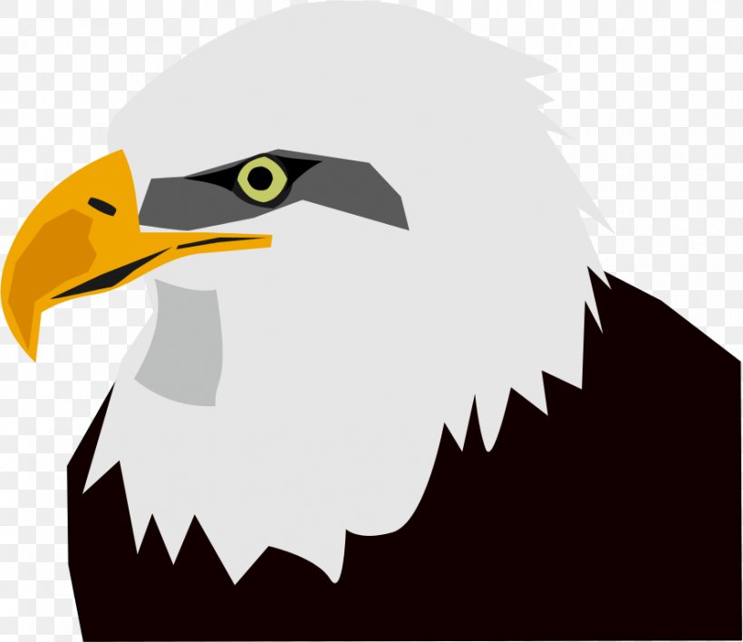 Bald Eagle Clip Art, PNG, 889x768px, Bald Eagle, Android Application Package, Beak, Bird, Bird Of Prey Download Free