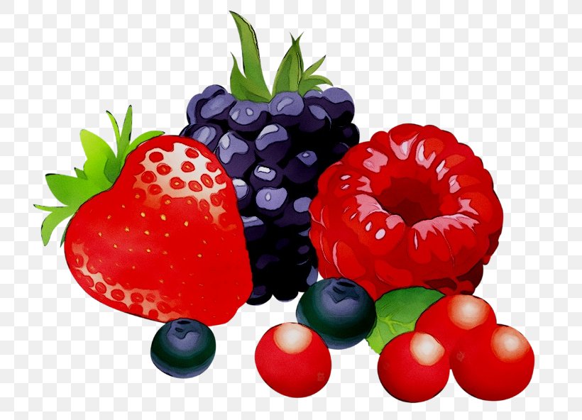 Berries Clip Art Free