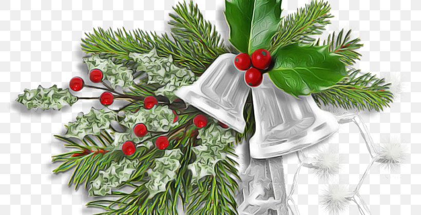 Christmas Decoration, PNG, 800x420px, Holly, Branch, Christmas Decoration, Christmas Eve, Colorado Spruce Download Free