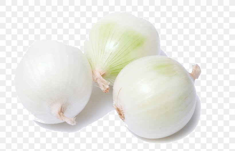Garlic Yellow Onion Shallot Vegetable White Onion, PNG, 1017x654px, Garlic, Allium, Allium Fistulosum, Cooking, Food Download Free
