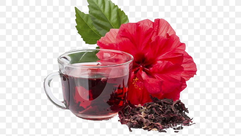 Hibiscus Tea Flowering Tea Roselle Jamaican Cuisine, PNG, 700x466px, Hibiscus Tea, Antioxidant, Cafe, Caffeine, Coffee Cup Download Free