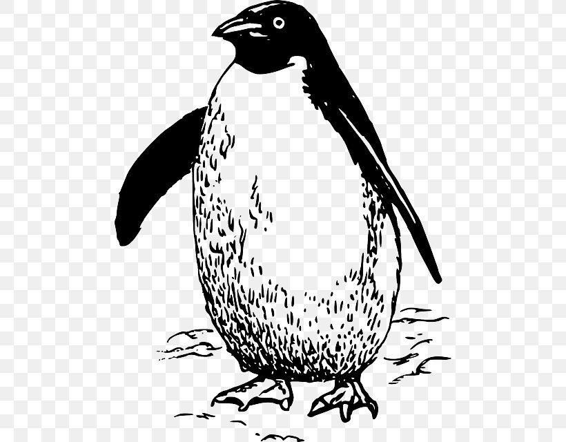Penguin Bird Clip Art, PNG, 488x640px, Penguin, Animal, Artwork, Beak, Bird Download Free