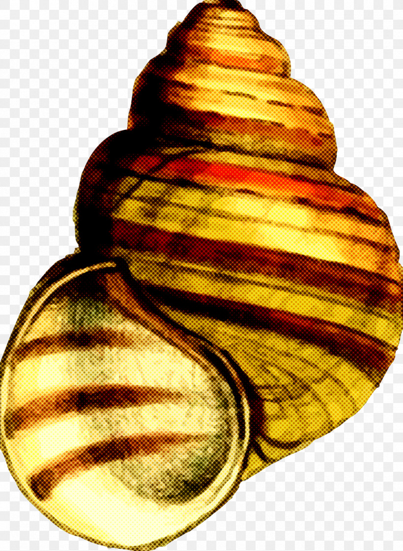 Sea Snail Shell Bivalve, PNG, 1754x2399px, Sea Snail, Bivalve, Shell Download Free