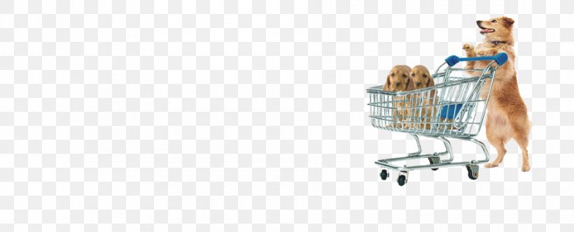 Shopping Cart Shoe, PNG, 940x381px, Shopping Cart, Cart, Shoe, Shopping Download Free