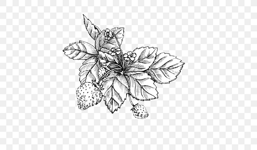 Shortcake Wild Strawberry Drawing Sketch, PNG, 582x478px, Shortcake, Aedmaasikas, Art, Black And White, Butterfly Download Free