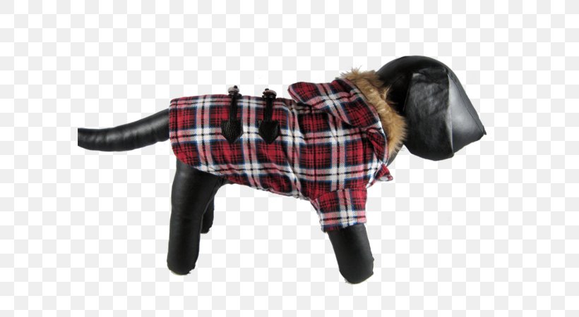 Tartan Dog Breed Dog Clothes Outerwear, PNG, 600x450px, Tartan, Breed, Clothing, Dog, Dog Breed Download Free