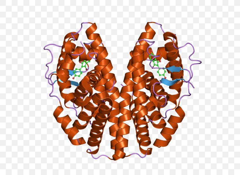 Estrogen Receptor Alpha Crystal Structure Nuclear Receptor, PNG, 800x600px, Estrogen Receptor, Caveolin, Crystal, Crystal Structure, Estrogen Download Free