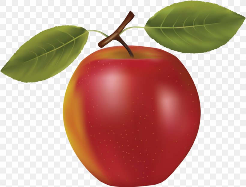 Fruit Clip Art, PNG, 1024x781px, Fruit, Accessory Fruit, Acerola, Apple, Apricot Download Free