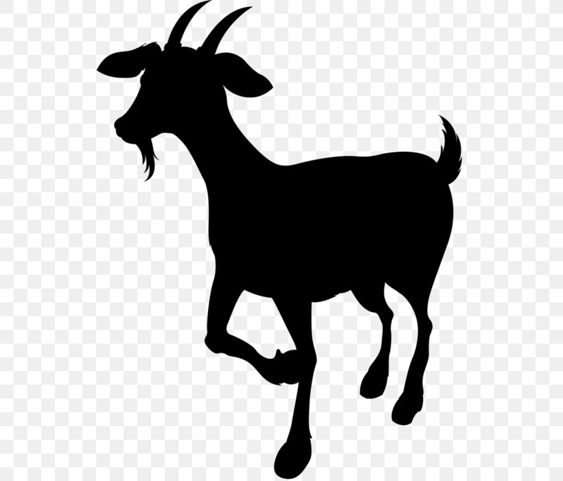 Goat Sheep Cattle Clip Art Mammal, PNG, 567x700px, Goat, Antelope, Cattle, Chamois, Cowgoat Family Download Free