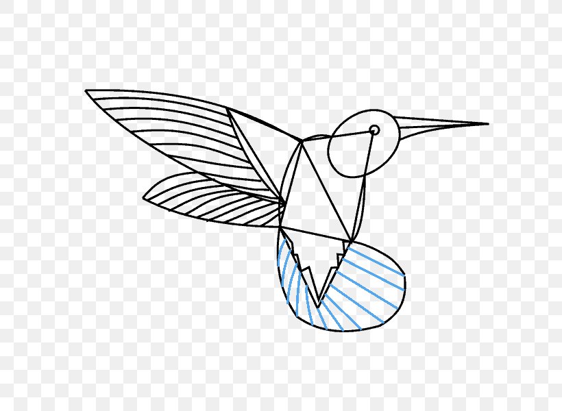 Hummingbird Drawing Line Art Painting Clip Art, PNG, 678x600px, Hummingbird, Area, Art, Artwork, Black And White Download Free
