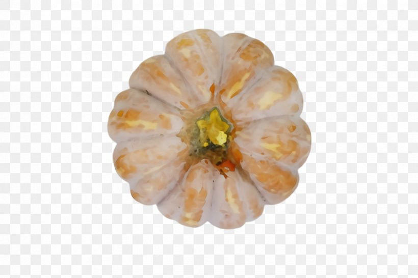 Orange, PNG, 2448x1632px, Watercolor, Flower, Flowering Plant, Fruit, Orange Download Free