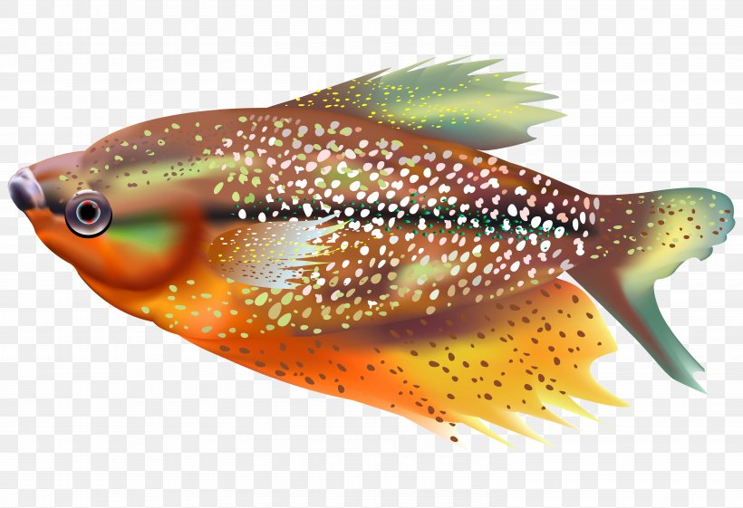 Tropical Fish Marine Biology, PNG, 6000x4112px, Fish, Animal, Bony Fish, Cartoon, Coral Reef Fish Download Free