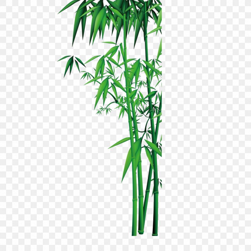 Bamboo Download, PNG, 900x900px, Bamboo, Artemisia Argyi, Bamboo Textile, Branch, Flowerpot Download Free