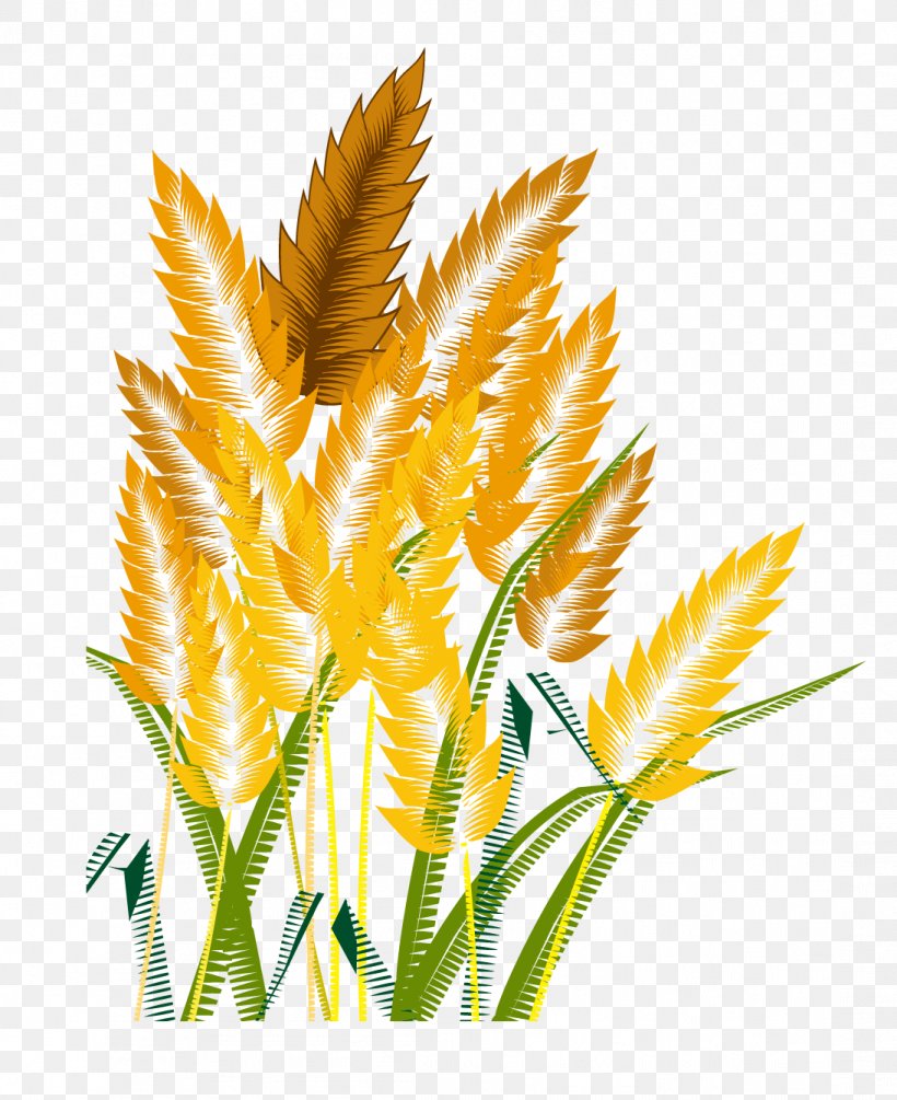 Crop Icon, PNG, 1094x1342px, Crop, Commodity, Grass, Grass Family, Leaf Download Free