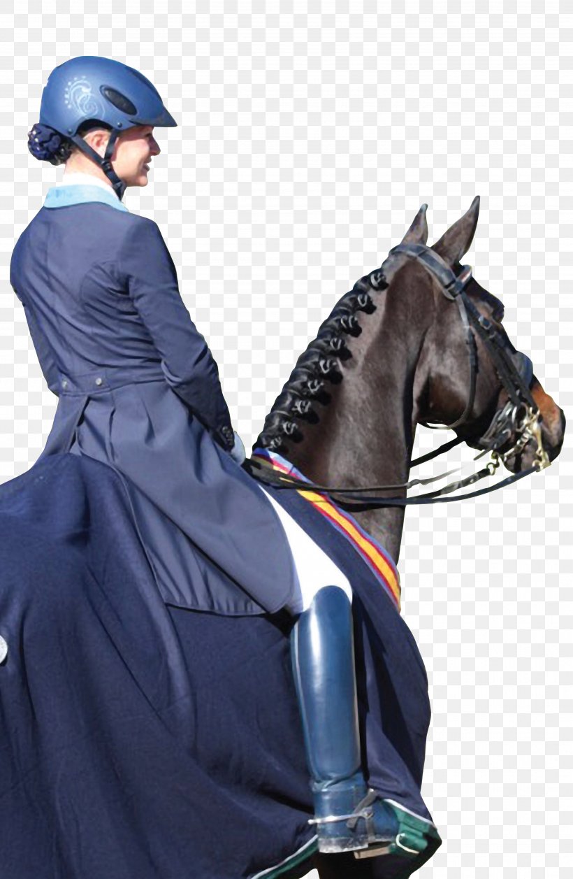 Horse Dressage Equestrian Helmets UVEX, PNG, 3522x5400px, Horse, Bit, Bridle, Costume, Dressage Download Free