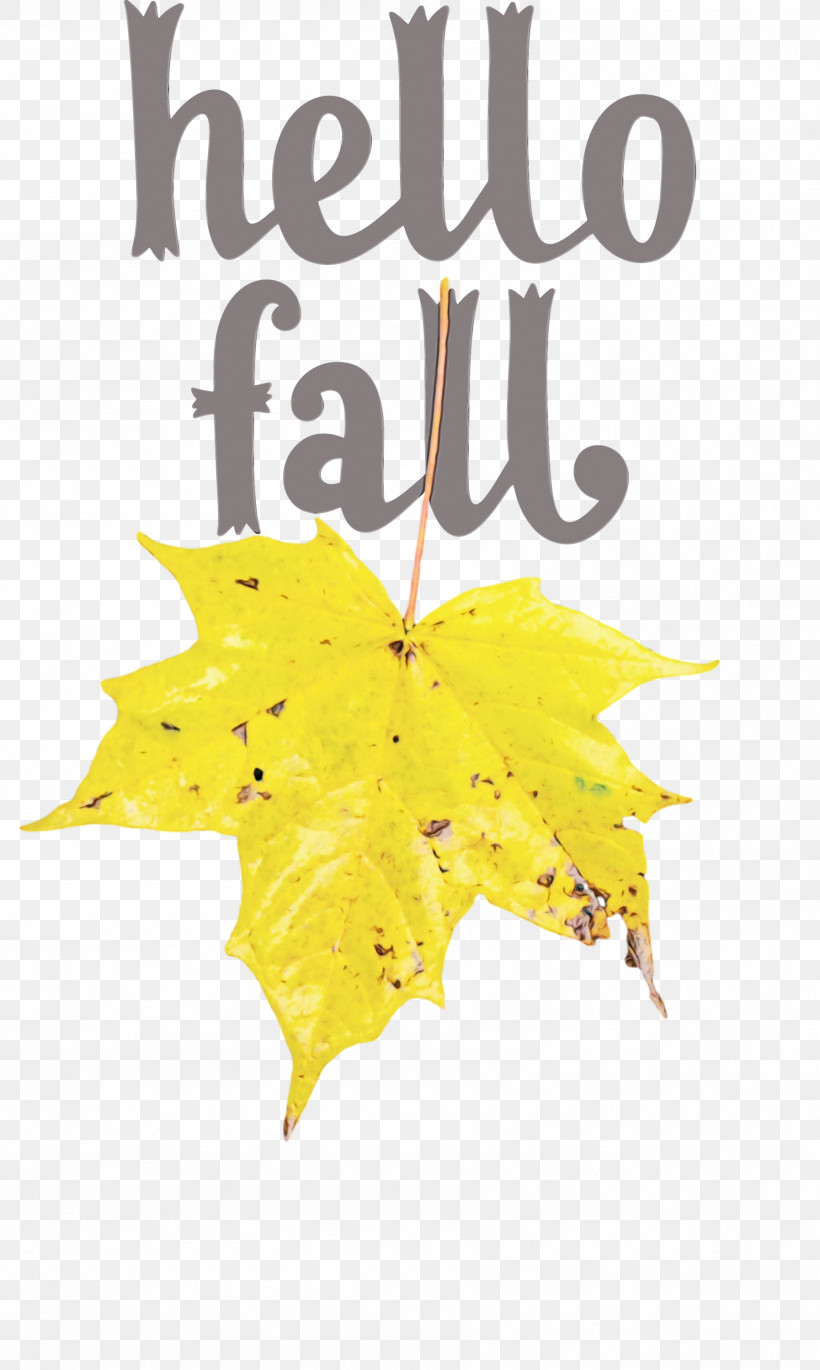 Leaf Maple Leaf / M Yellow Font Tree, PNG, 1794x2999px, Hello Fall, Autumn, Biology, Fall, Leaf Download Free