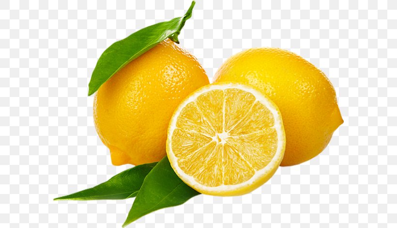 Lemon Sorbet Clip Art, PNG, 600x470px, Lemon, Bitter Orange, Citric Acid, Citron, Citrus Download Free