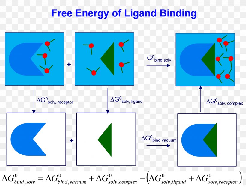 Scoring Functions For Docking Solvation Ligand Energy, PNG, 1438x1098px, Docking, Area, Binding Energy, Calculation, Diagram Download Free