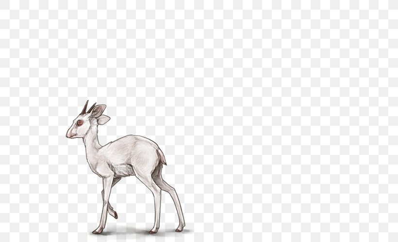 Antelope Deer Mammal Felidae Horn, PNG, 640x500px, Antelope, Agouti, Albinism, Animal, Antler Download Free