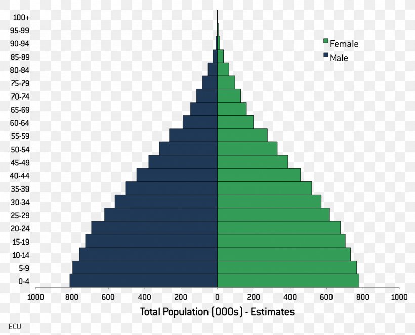 Bolivia Population Pyramid World Population Demography, PNG, 1588x1285px, Bolivia, Birth Rate, Cone, Demographic Transition, Demography Download Free