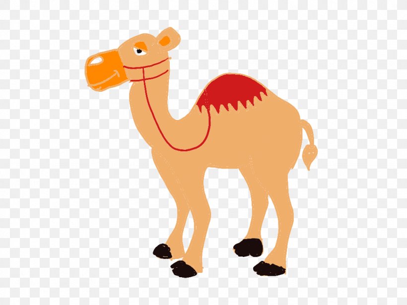Dromedary Camel Snout Terrestrial Animal Clip Art, PNG, 1024x768px, Dromedary, Animal, Animal Figure, Arabian Camel, Camel Download Free