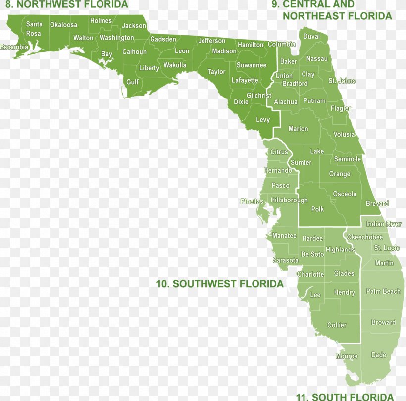 Florida Road Map Physische Karte World Map, PNG, 1303x1288px, Florida, Area, Autocad Dxf, City Map, Ecoregion Download Free