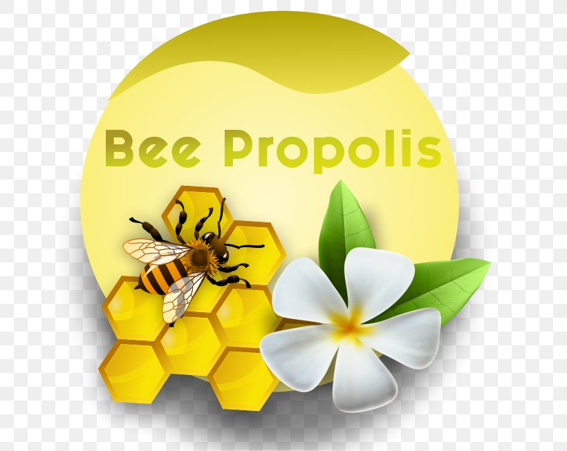 Honey Bee Desktop Wallpaper Flowering Plant, PNG, 653x653px, Honey Bee, Bee, Butterfly, Computer, Flower Download Free