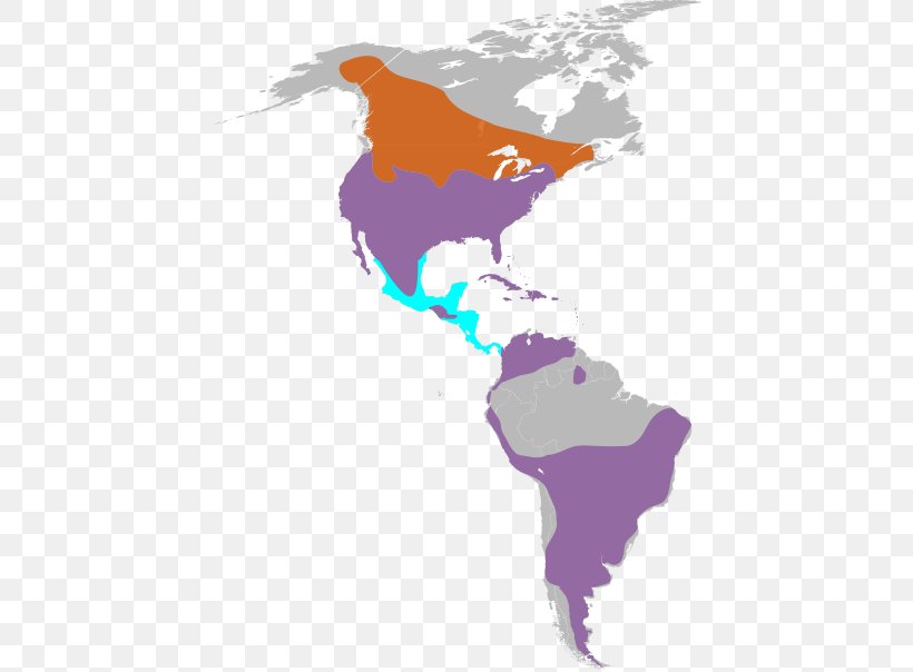 United States South America World Map World Map, PNG, 440x604px, United States, Americas, Art, Blank Map, Continent Download Free