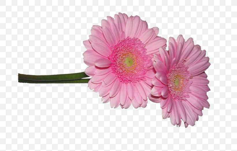 Cut Flowers Clip Art, PNG, 699x524px, Flower, Artificial Flower, Asterales, Blog, Chrysanthemum Download Free