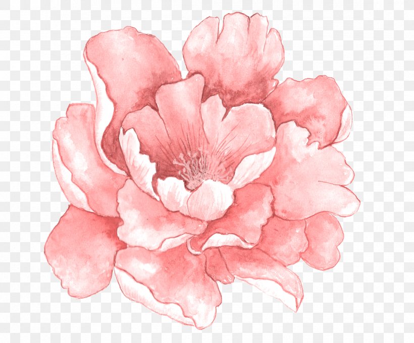 Pink Flowers Watercolor Painting, PNG, 2339x1940px, Watercolor Painting
