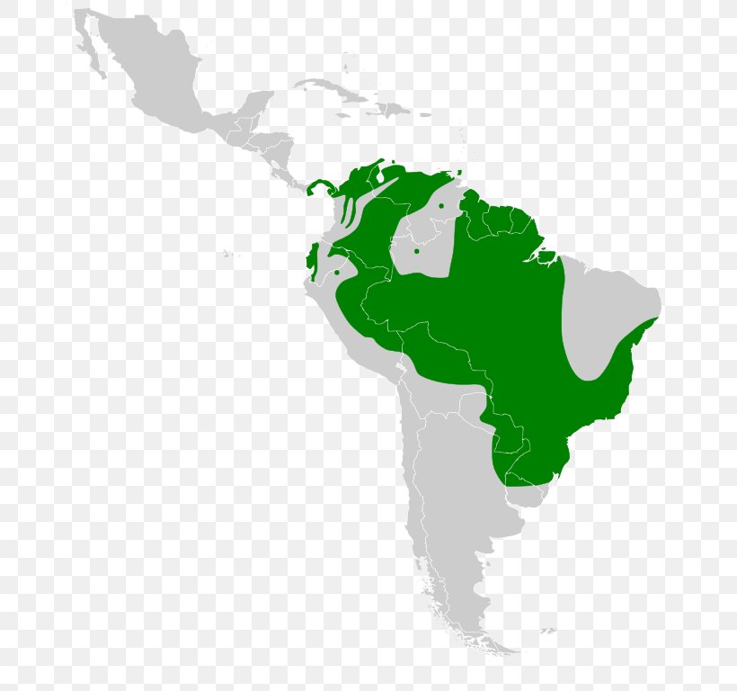 South America Latin America United States Blank Map, PNG, 710x768px, South America, Americas, Blank Map, Country, Flags Of South America Download Free