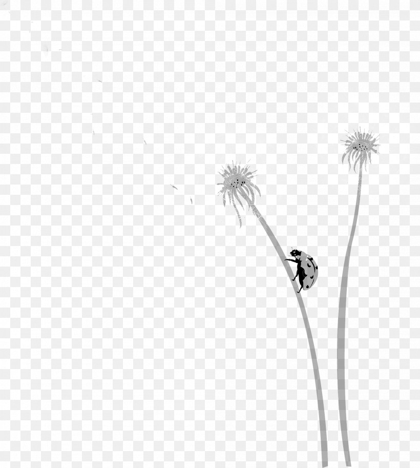 White Dandelion Dandelion Plant Flower, PNG, 2001x2228px, White, Blackandwhite, Dandelion, Flower, Plant Download Free