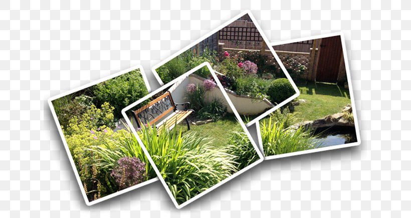 Yard Landscape Architecture Dorset Landscaping, PNG, 645x435px, Yard, Dorset, Garden, Garden Design, Gardening Download Free
