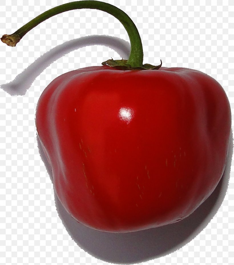 Habanero Bell Pepper Chili Pepper Peperoncino Pungency, PNG, 884x1000px, Habanero, Apple, Bell Pepper, Bell Peppers And Chili Peppers, Biber Download Free