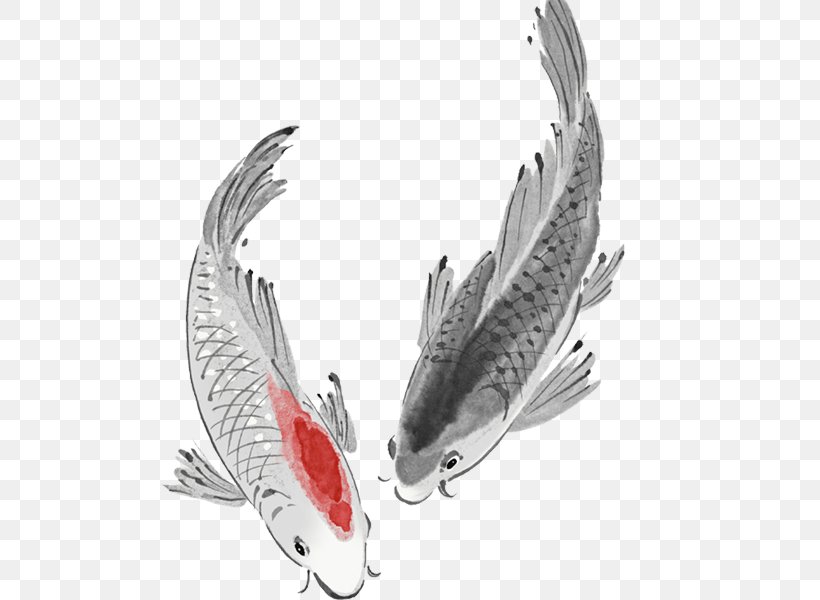 Koi Carassius Auratus Fish Carp, PNG, 600x600px, Koi, Carassius Auratus, Carp, Common Carp, Cyprinidae Download Free