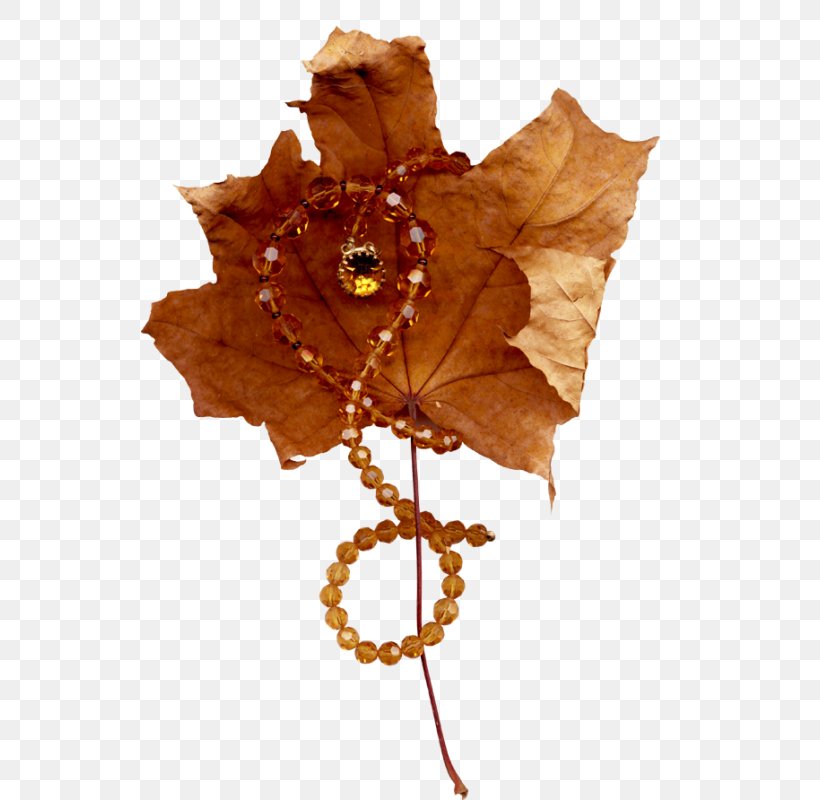 Maple Leaf Clip Art, PNG, 538x800px, Leaf, Autumn, Autumn Leaf Color, Autumn Leaves, Computer Graphics Download Free