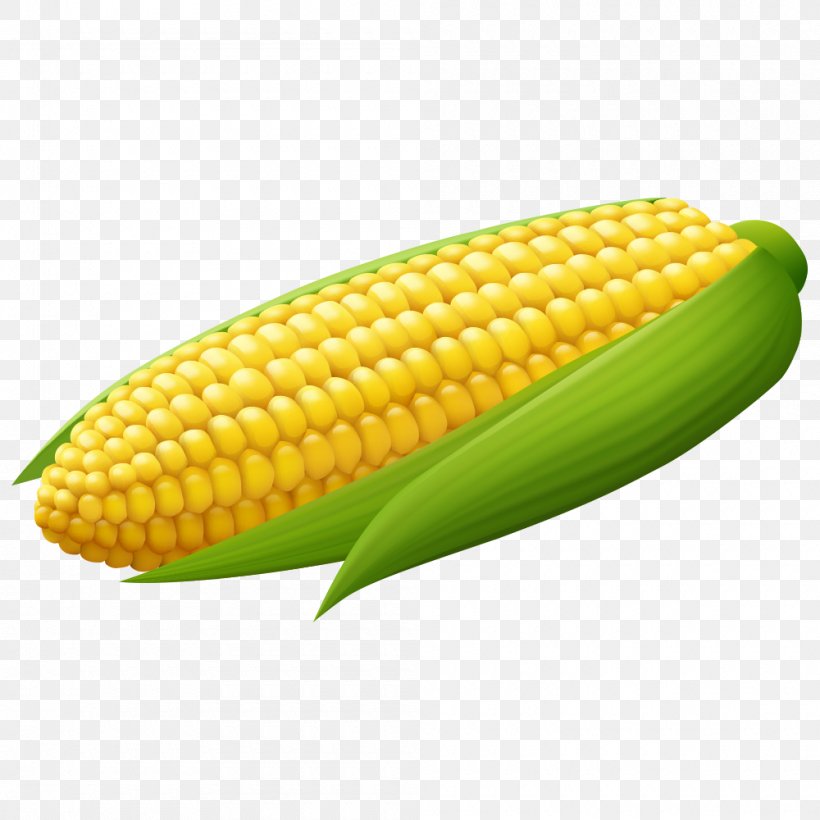 Corn On The Cob Maize, PNG, 1000x1000px, Corn On The Cob, Caryopsis, Commodity, Corn Kernel, Corn Kernels Download Free