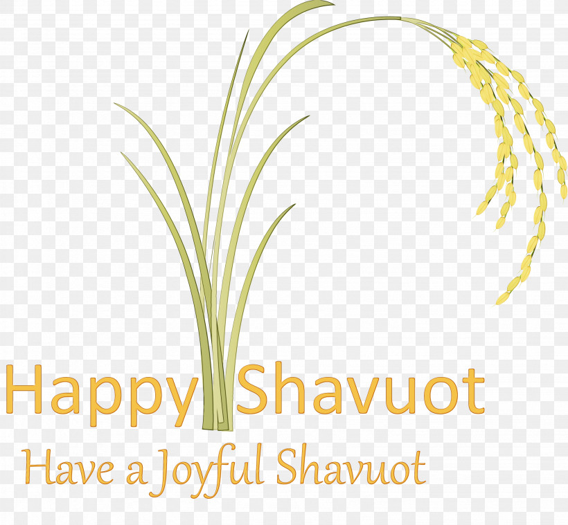 Text Plant Grass Family Grass Font, PNG, 3081x2853px, Happy Shavuot, Grass, Grass Family, Logo, Paint Download Free
