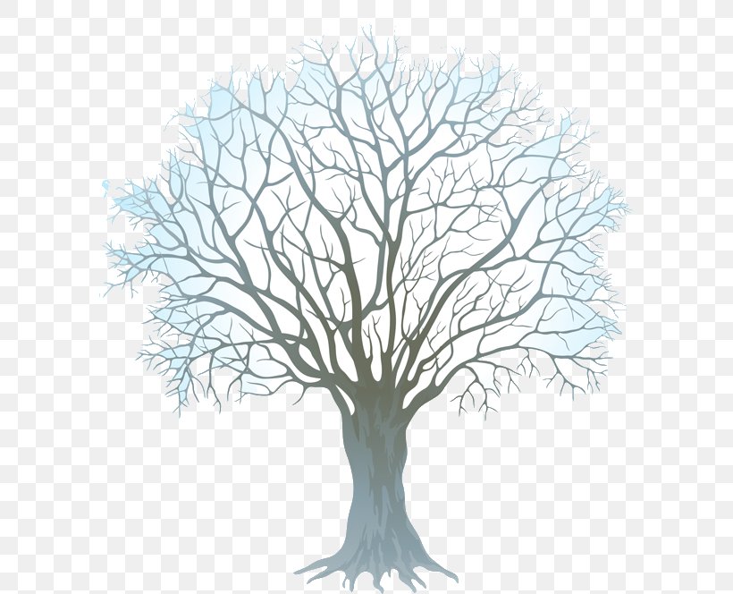 Tree Trunk Drawing, PNG, 600x664px, Tree, Aquarium Decor, Branch, Christian Clip Art, Drawing Download Free