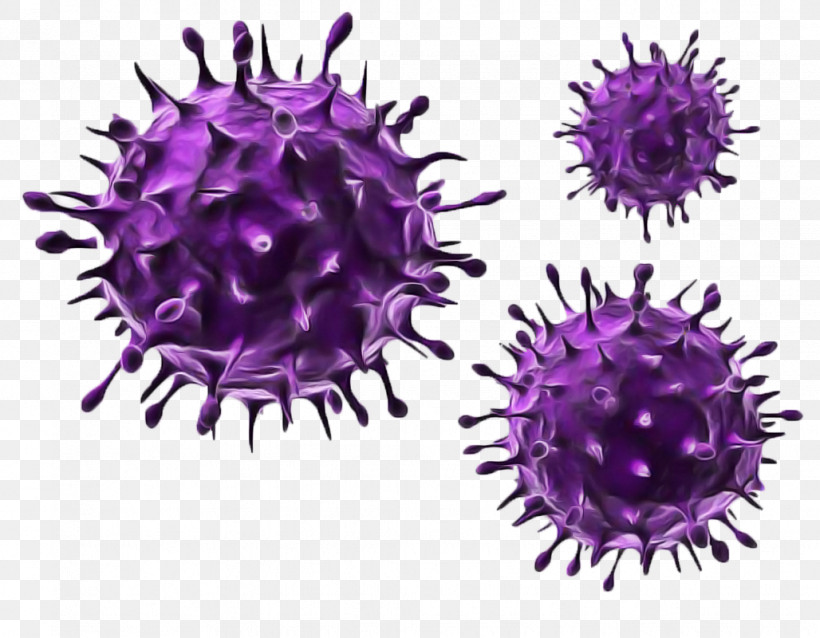 Virus Herpes Simplex Virus Flu Coronavirus Health, PNG, 1028x800px, Virus, Avian Influenza, Bacteria, Coronavirus, Flu Download Free
