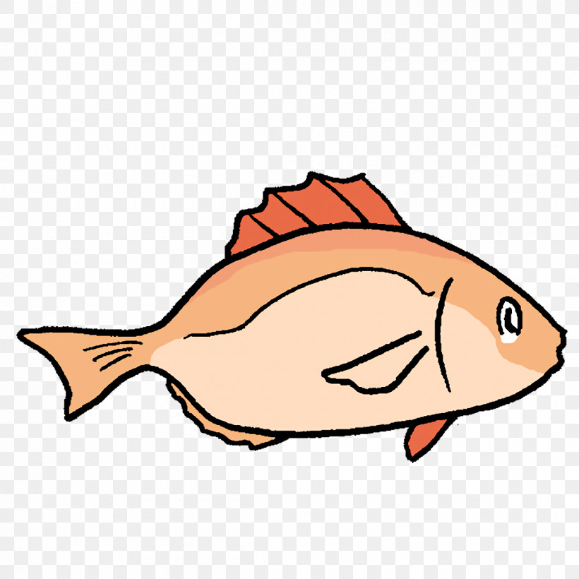 Cartoon Fish Products Fish Line Tail, PNG, 1200x1200px, Cartoon, Biology, Fish, Fish Products, Line Download Free