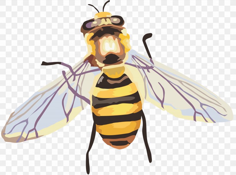 Insect Honey Bee, PNG, 6829x5093px, Insect, Arthropod, Bee, Beehive, Cartoon Download Free